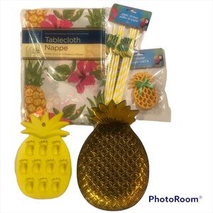 Tropical Party Pack- Pineapple Tablecloth Straws,Coasters,Ice Cube Mold …
